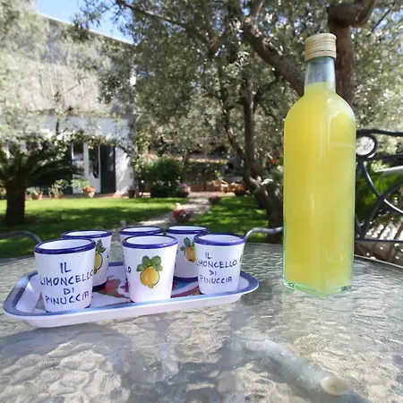 Tenuta Camporosso Massa Lubrense
